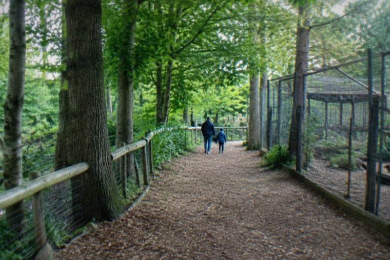 Birmingham Wildlife Conservation Park