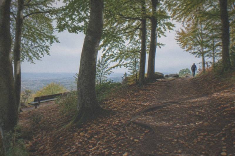 Lickey Hills Country Park