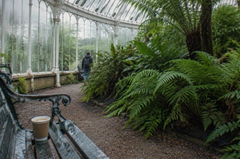 Is Birmingham Botanical Gardens Worth The Ticket Price
