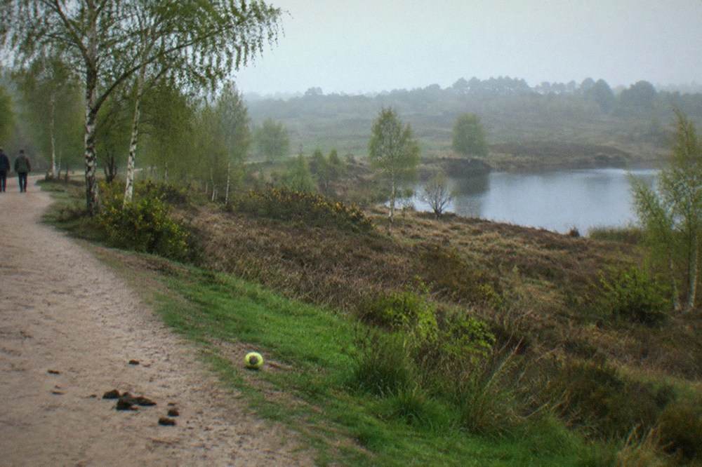 Is Sutton Park Really Free And Worth The Trip in Birmingham