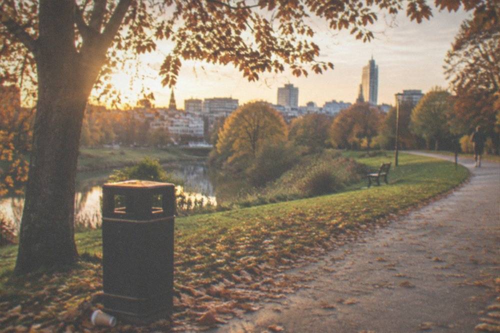 When Is The Best Time To Visit The Gardens Or The Free Parks in Birmingham