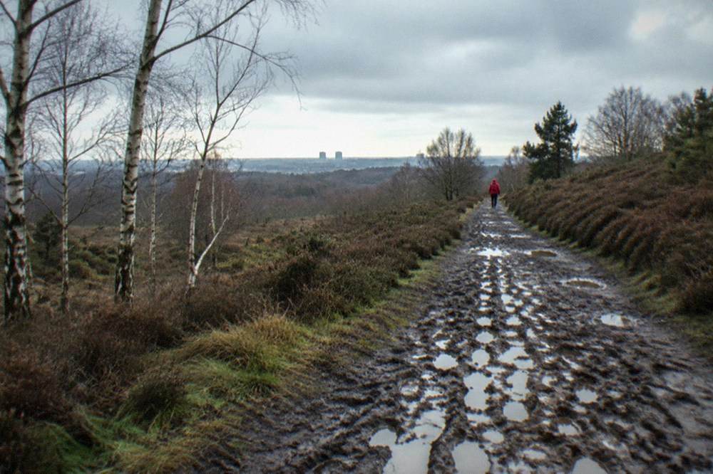 When Is The Best Time To Visit Lickey Hills in Birmingham