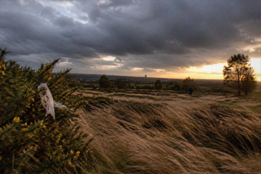 Big open sky over heathland at Sutton Park in late afternoon light