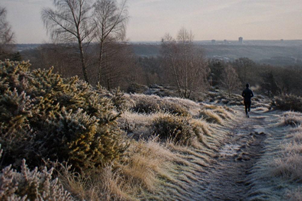 Wide view of heathland and scattered trees inside Sutton Park
