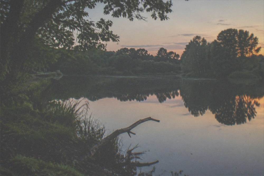 One of the lakes at Sutton Park with trees reflected in still water